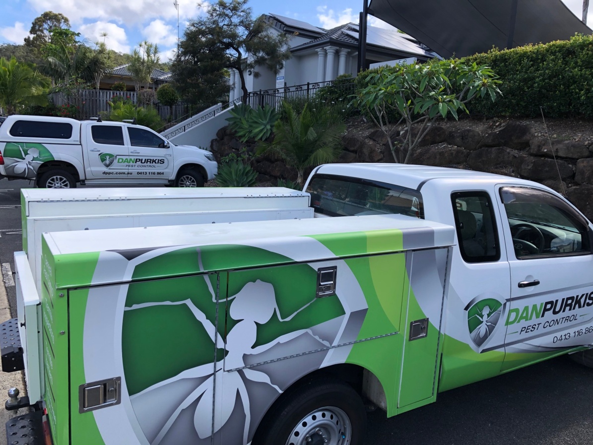DPPC Van